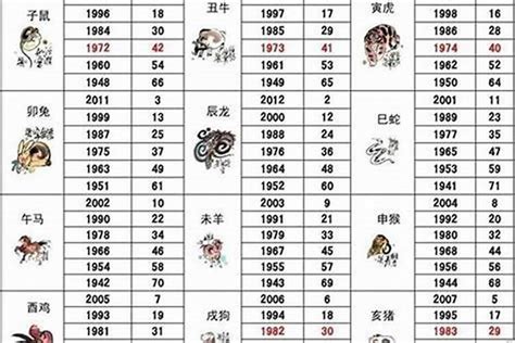 1971五行属什么|1971属猪的是什么命 1971年属猪的是什么命五行缺什么